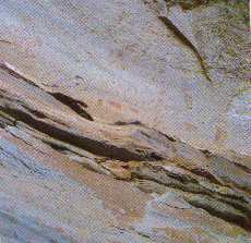 Patame.jpg (9822 bytes)