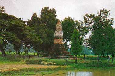 yaku.jpg (16842 bytes)