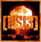 WebLink Access NukeSylo-Thirteen Clan Forum