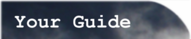 your guide