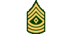 Sergeant Major