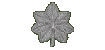 Lt Colonel