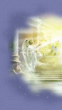 Main Image Left