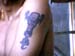 my stain