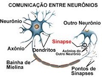 comunicação entre neuronios