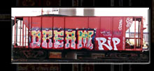 DREAM RIP