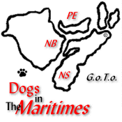 Dogs In The Maritimes Web Ring - Want to join the ring?