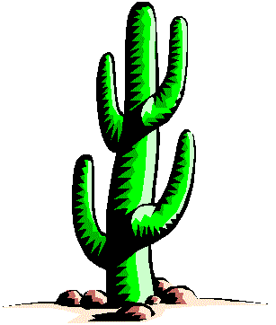 Cactus