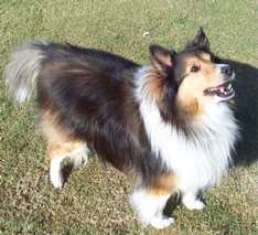bubba.jpg (9433 bytes)