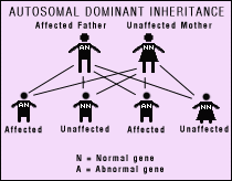 Autosomal-dominant Inheritance