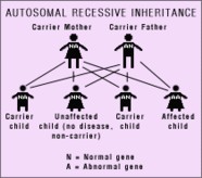 Autosomal-recessive Inheritance