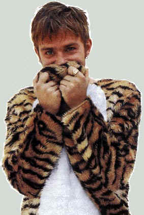 dashytiger.jpg (17345 bytes)