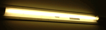 I am a scary light