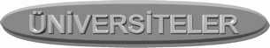 NVERSTELER.jpg (11311 bytes)