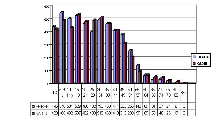 2002.gif (13028 bytes)