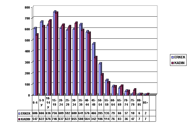 IMAGE003.GIF (12052 bytes)