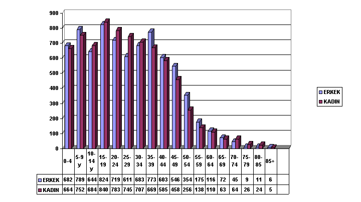 IMAGE005.GIF (12171 bytes)