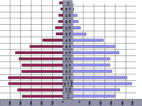 IMAGE007.GIF (12956 bytes)