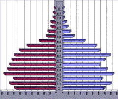 IMAGE008.GIF (13495 bytes)