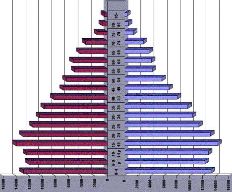 IMAGE010.GIF (42934 bytes)