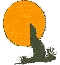 "Heyokah Medicine can be called upon through Coyote"
