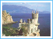 swallow's nest