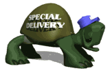 special_delivery