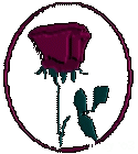 Rose by Daisy