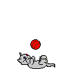 Kitten playing with a ball