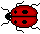 ladybug