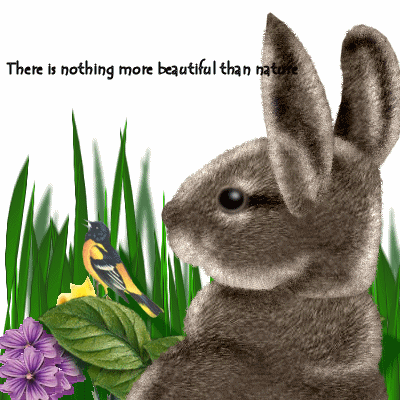 nothing more beautiful than nature...