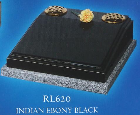 RL620