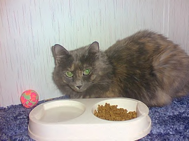 Thelma