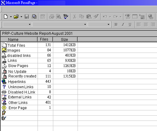 Website Report