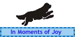 Moments of Joy