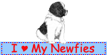 I Love My Newfies