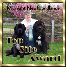 Midnight Newfoundlands Award