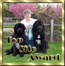 To receive my award click here