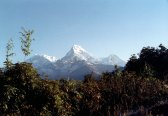 Mt. Fish Tail seen from Poon Hill