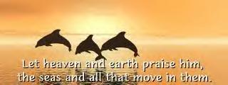 Praise God!
