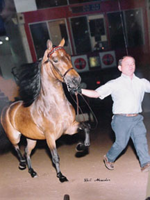 moving with atttitude.jpg (25669 bytes)