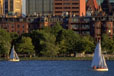 Boston City Scene