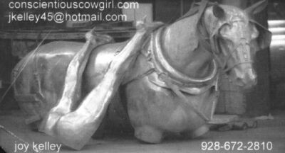 Click To See Conscientious Cowgirl Photography