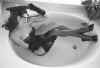 tub.jpg (59189 bytes)
