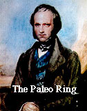 The Paleo Ring's Next                  Website