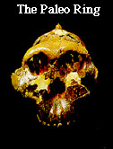 The Paleo Ring's Previous                  Website