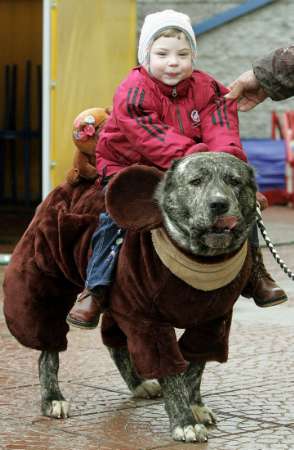 A Russian girl rides on the back of a dog during a therapy session at a center in Moscow, November 16, 2004. The center uses specially trained dogs to assist its treatment  for children with a range of problems including nightmares and cerebral palsy.  REUTERS/Viktor Korotayev