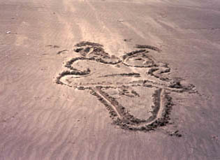 Ocean Shores