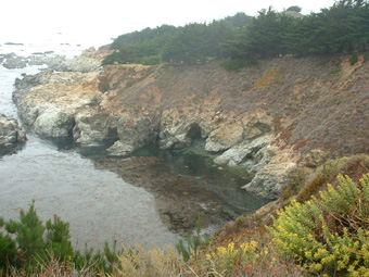 More coast!