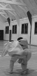 throw7.gif (59916 bytes)